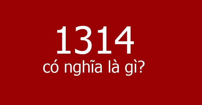 1314 là gì? Khám phá mật mã tình yêu đầy ý nghĩa